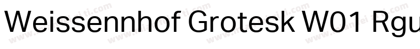 Weissennhof Grotesk W01 Rgular字体转换